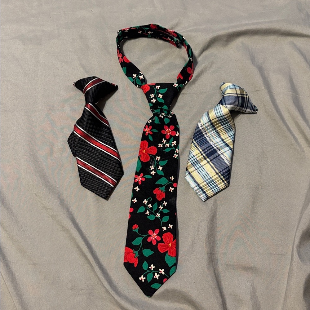 Floral and Plaid Tie Set